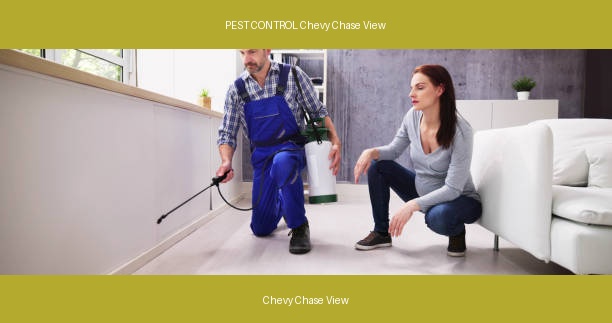 PEST CONTROL Chevy Chase View